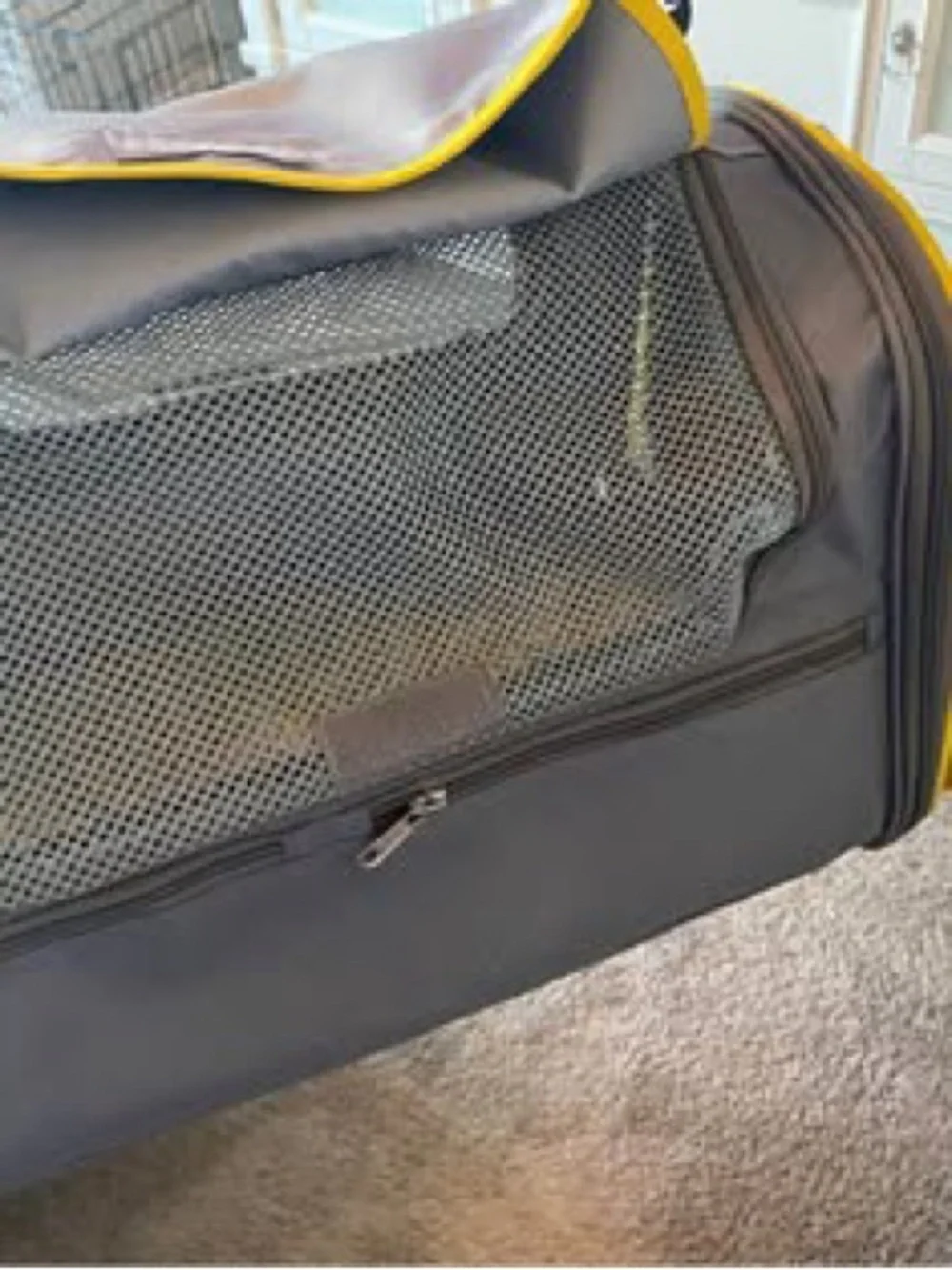 Gray and Yellow Soft-Sided Dog Carrier Travel Bag